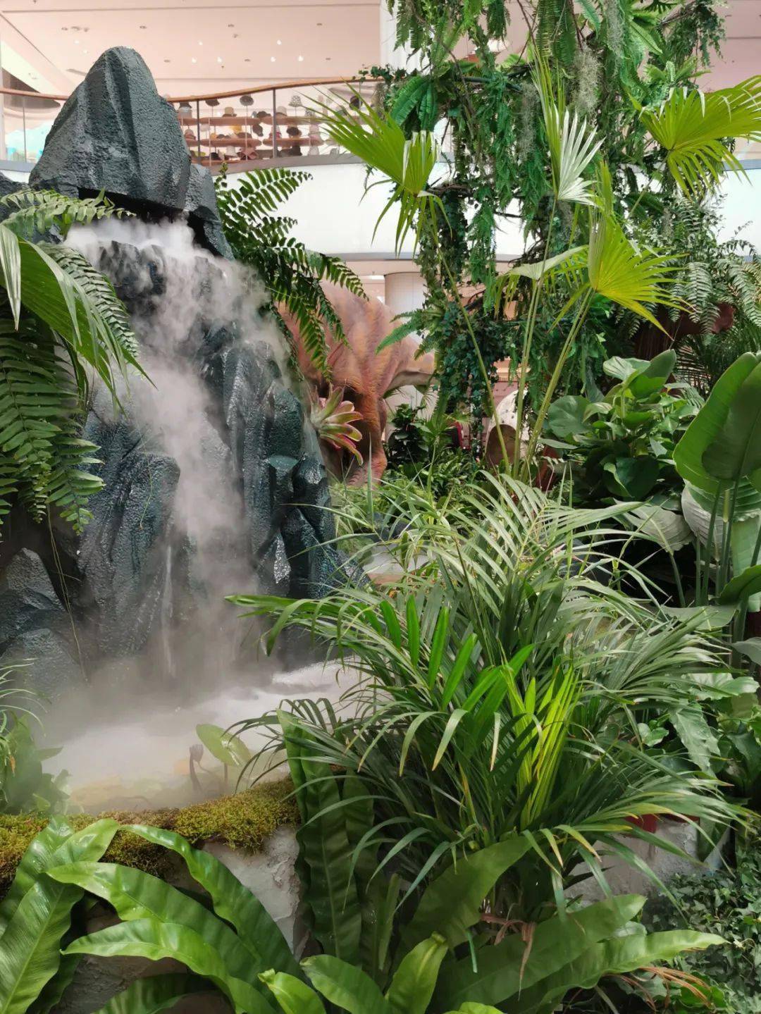 6000株真实植物,10余种活体远古生物,宁波市中心空降一座热带雨林