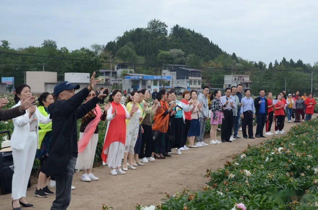 双城经济圈 媒体中江行