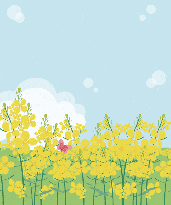 北京有片绝美油菜花海,就在这个免费公园里!