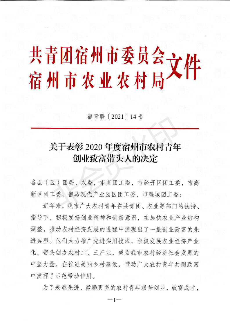 五四光荣榜有你认识的吗泗县一大批先进青年个人集体荣获省市级荣誉