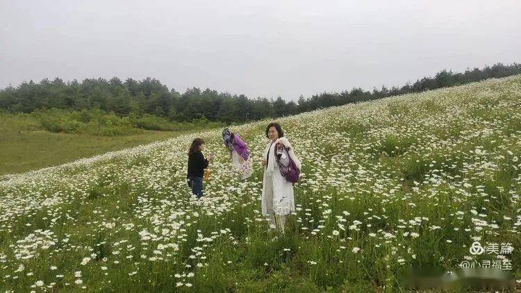 汉中这个藏在云端的景区,有着许多令人流连忘返的景色_草坝