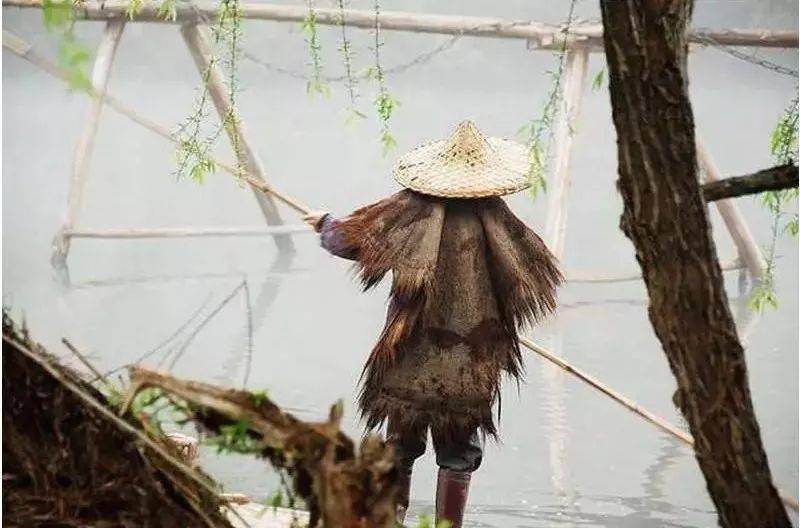 夏季多雨,又赶上农忙, 棕丝织就的蓑衣, 透过薄薄一层汗衫, 微微扎人