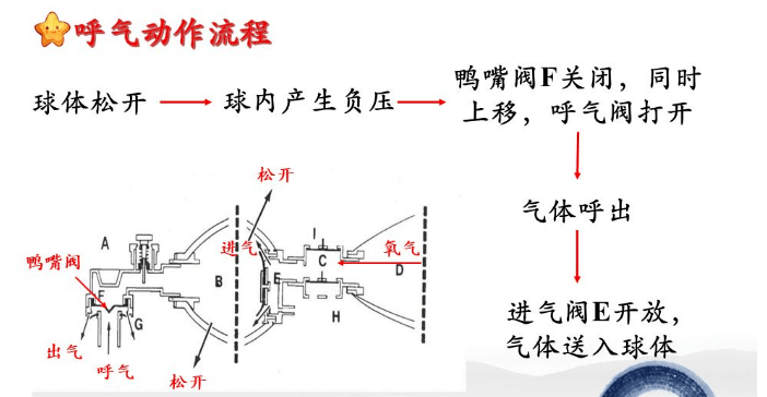 简易呼吸器使用后如何进行消毒处理