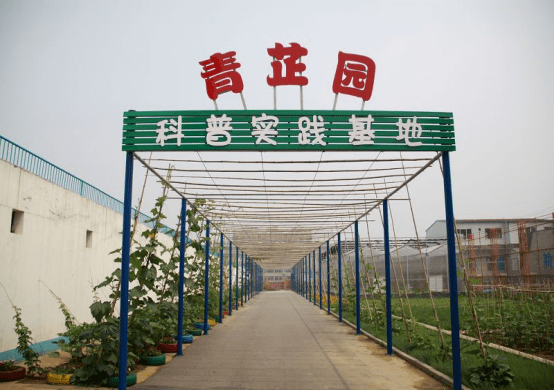 青芷园,是章丘区福泰小学学生的校园种植基地.