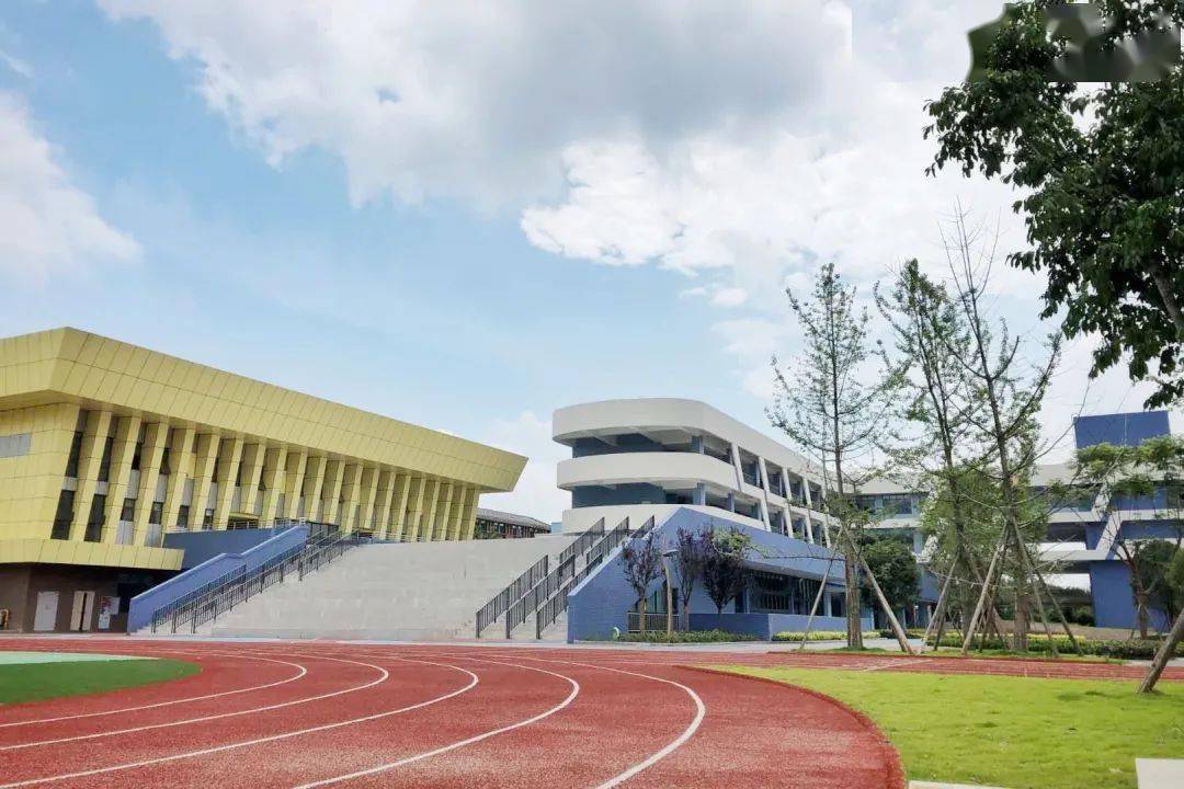 四川天府新区2021年小学信息一览