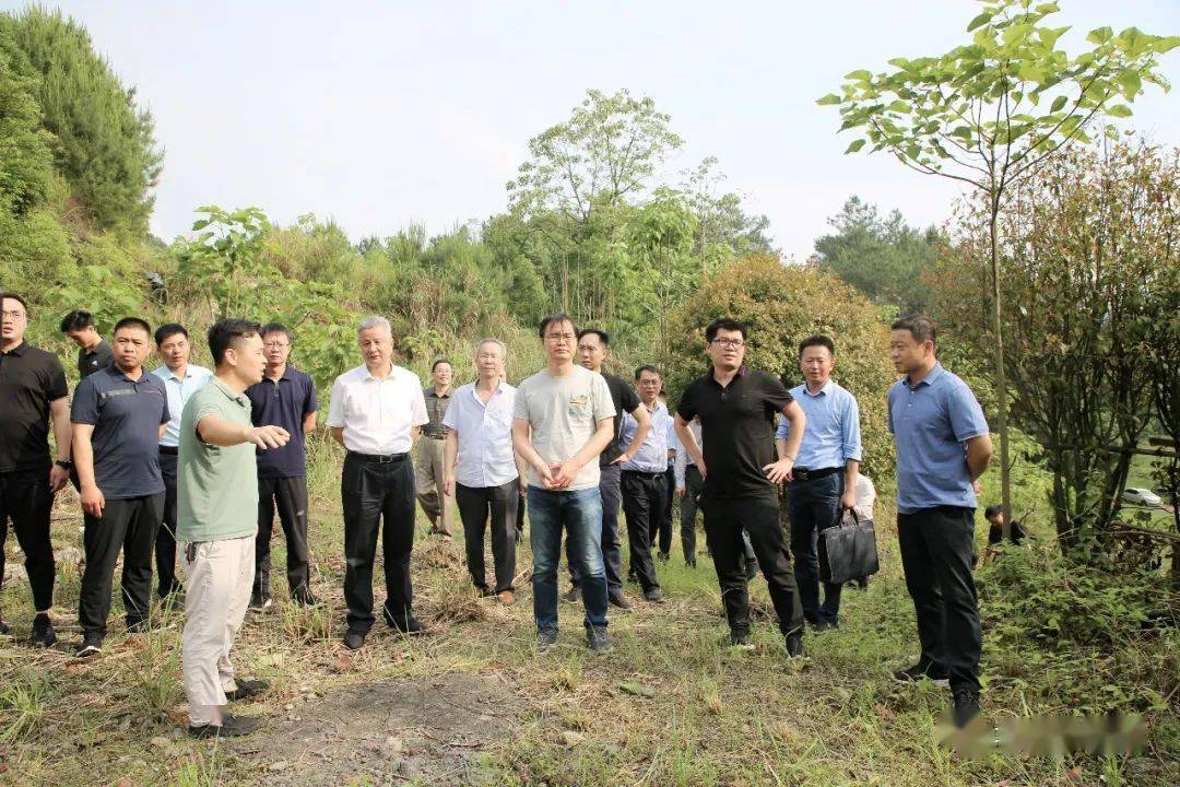 国家煤炭去产能"回头看"调研组来横峰调研_建设