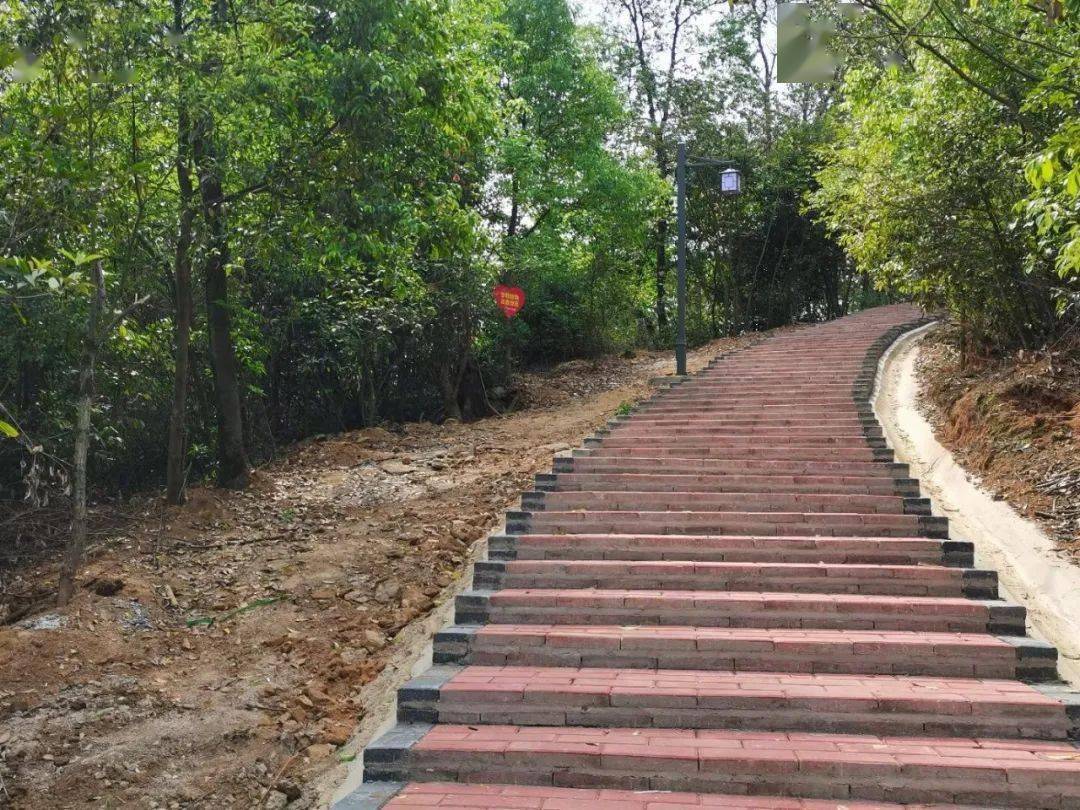 一条健身步道,一条登山步道!龙门镇这个村又增休闲好去处