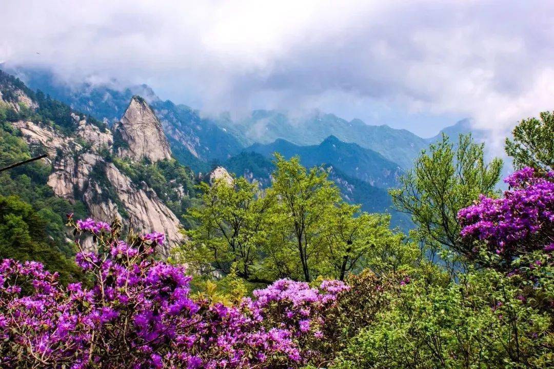 中国旅游日,平顶山市景区惠民政策来咯