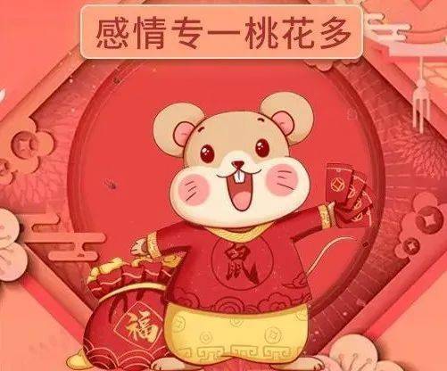 12生肖中谁的桃花运最好,最有异性缘呢?