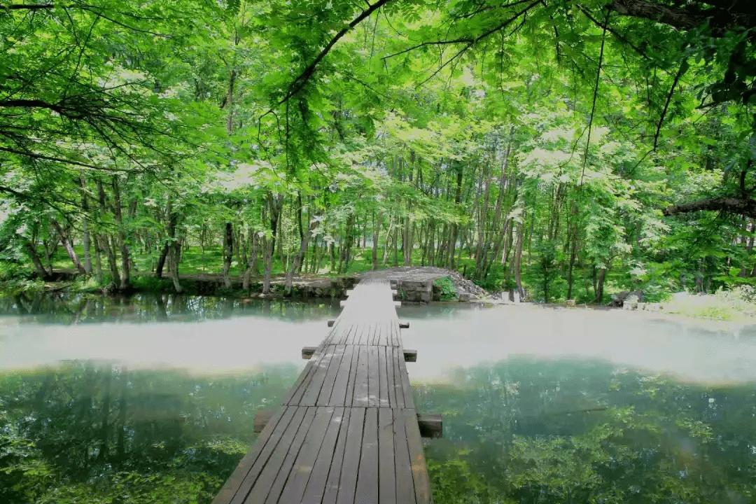 在这里"新"相印!_西溪南