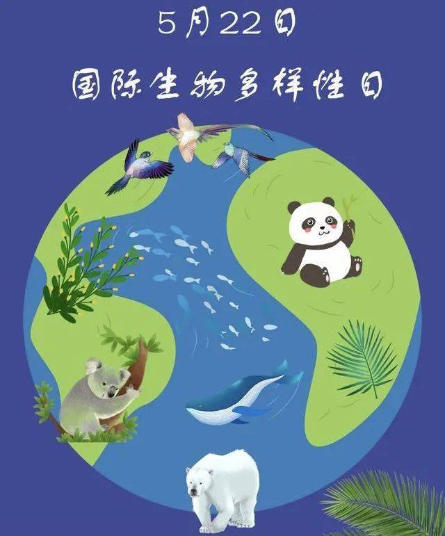 22国际生物多样性日——呵护