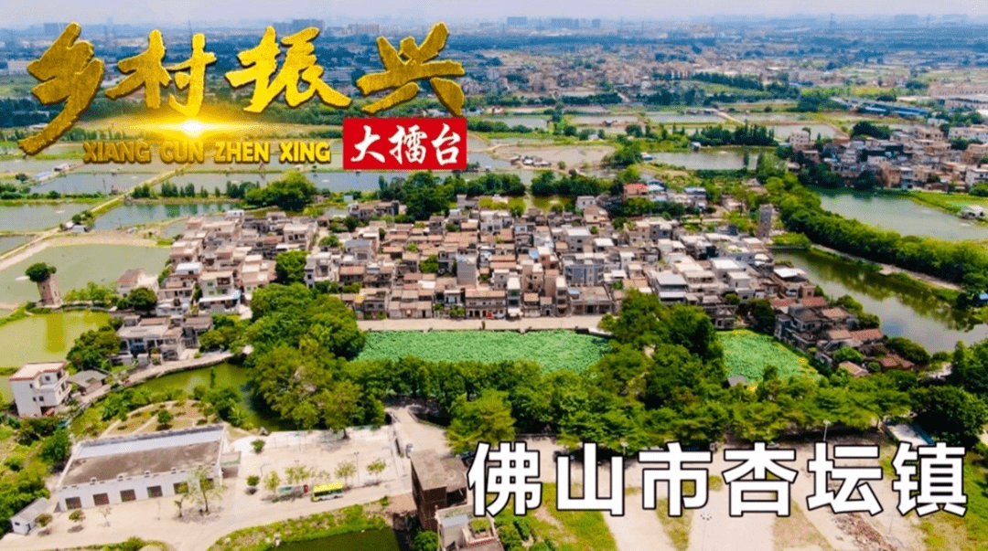 探村直播完美收官,佛山乡村颜值在线!_杏坛镇