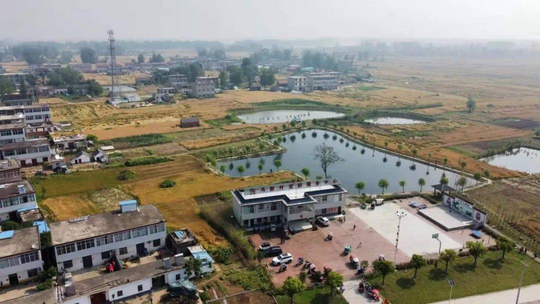 阜南县,颍东区,太和县颍州区,颍泉区,颍上县,界首市实施乡村振兴战略