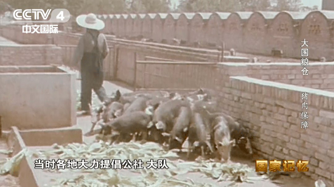 纪录片大国粮仓第六集猪肉保障