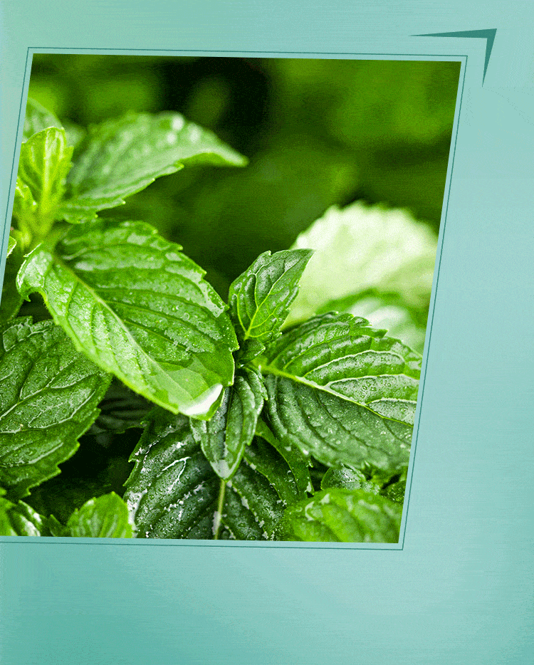 750_934 竖版 竖屏