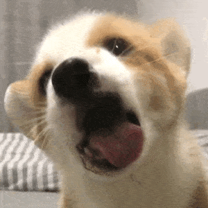 好像有段时间没给大家安利美少女了!做好准备开舔了吗?