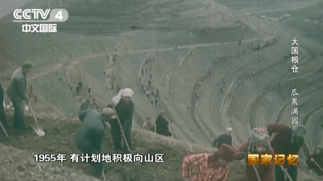 纪录片《大国粮仓》第九集——瓜果满园