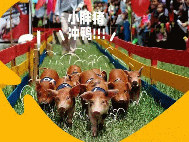 与小动物们成为朋友,感受触摸萌宠的奇趣之旅