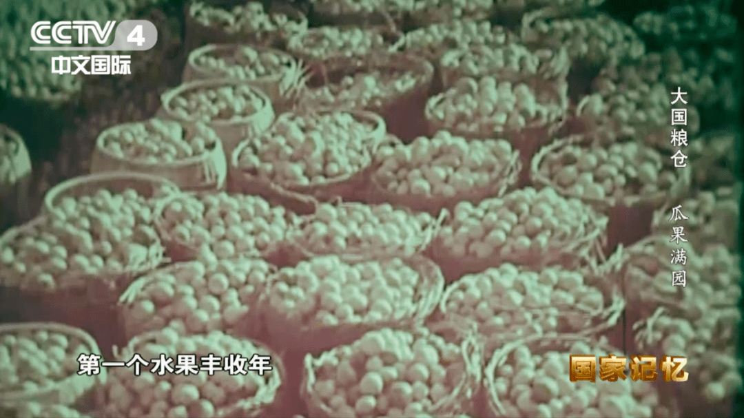 纪录片《大国粮仓》第九集——瓜果满园