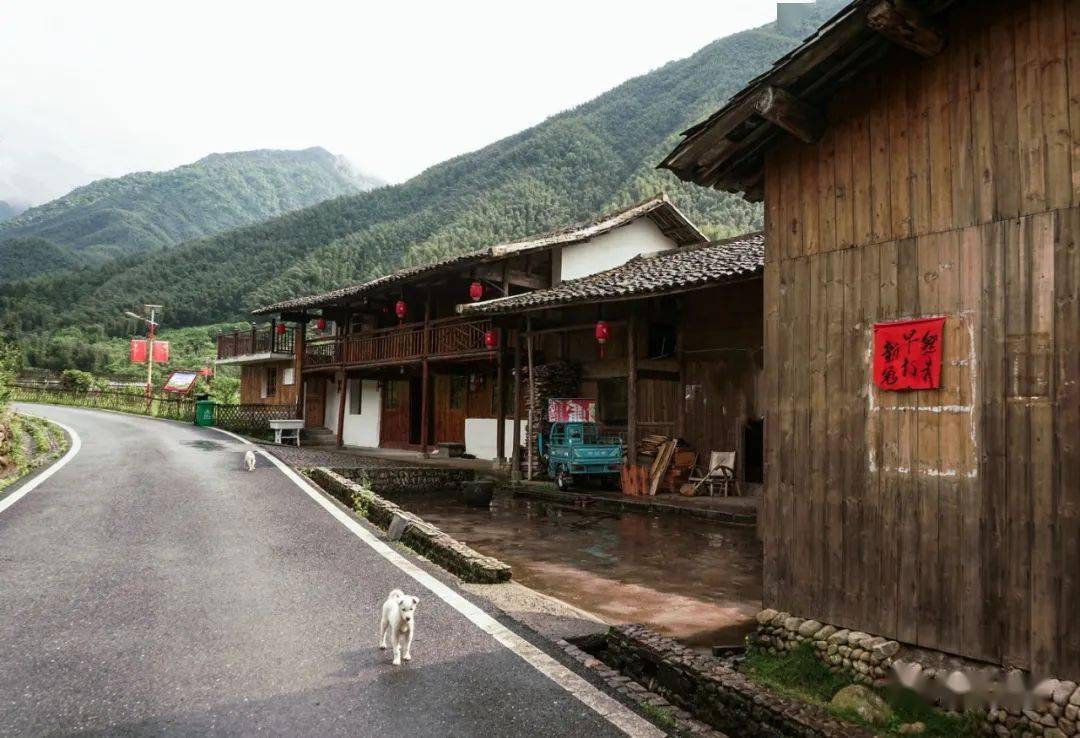 奉献畲乡不老松——记铅山县篁碧畲族乡老年体协副主席雷省身74扬州