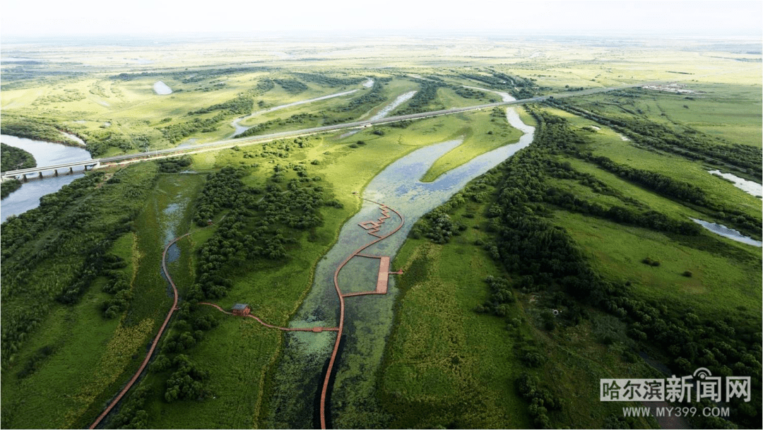 佳木斯黑瞎子岛湿地公园