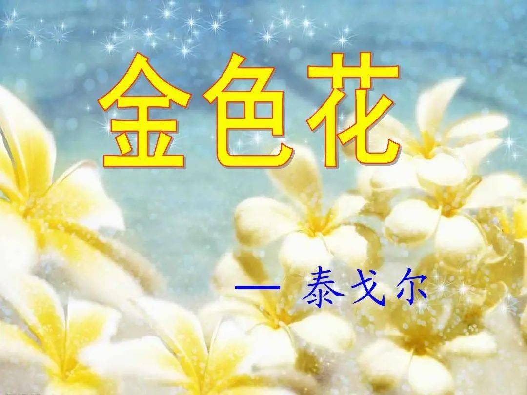 给孩子徐小粉跳舞的金色花新网师晨诵第384期