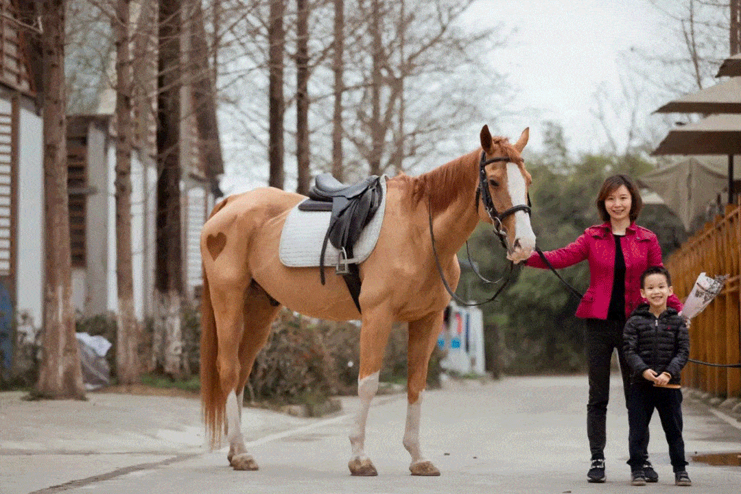 双流运动场地大盘点!各类球馆,超大户外草坪……适合全家老少来运动