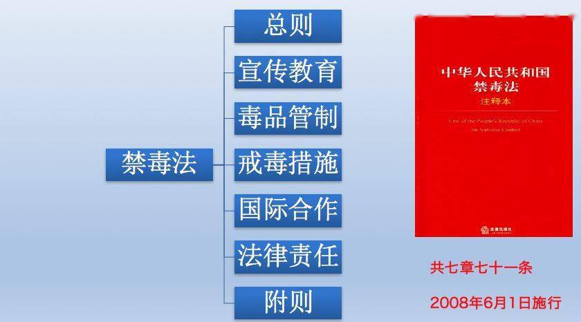 习水县:当"六·一"儿童节遇上《禁毒法》