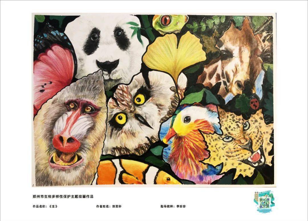 郑州生物多样性保护儿童绘画作品展示③