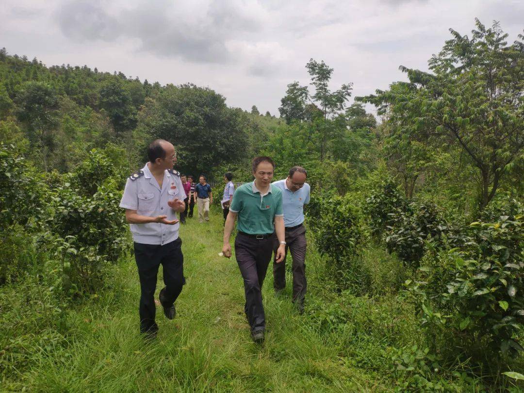 在边境防控工作中当好强边固防"税务兵"_段雨澜