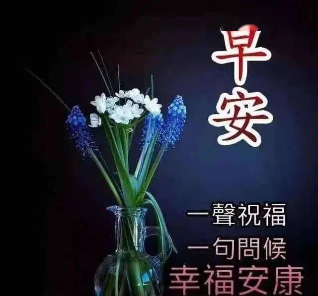 8张最新早安早上好图片带祝福语,不用打字聊天的夏天早上好问候祝福