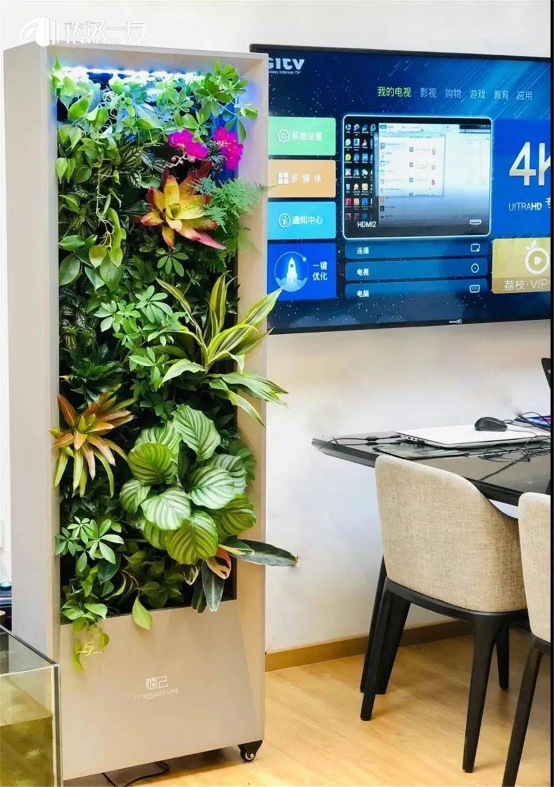 玄关植物墙 植物生态橱柜