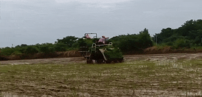 得盈满  二十四节气|今春看又过,今天迎立夏  二十四节气 | 今日谷雨