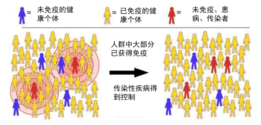 Δ群体免疫示意图
