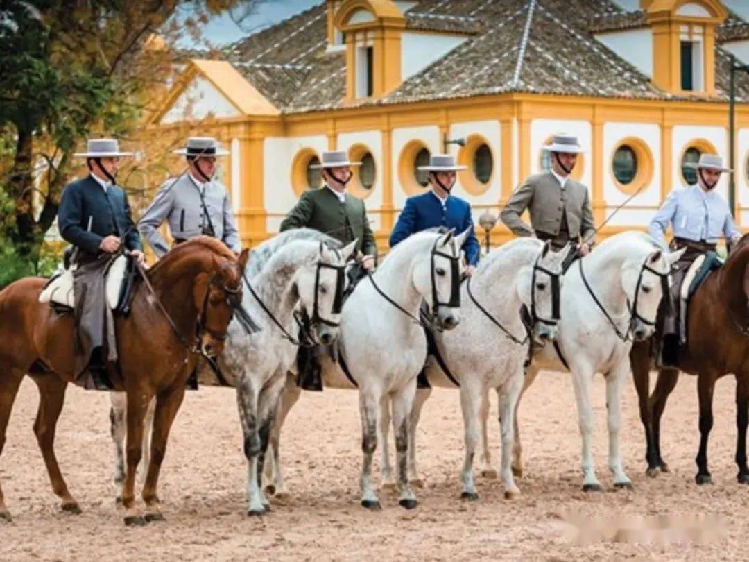的创建主要目的是保护当地悠久的古典马术,西班牙马种及其传统文化
