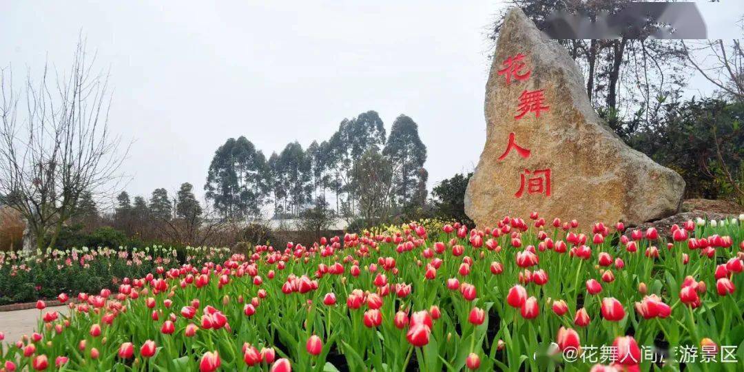 图源@花舞人间旅游景区 官方微博