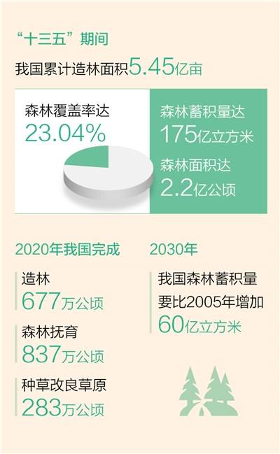 我国森林面积和森林蓄积量连续30年保持双增长(新数据 新看点)