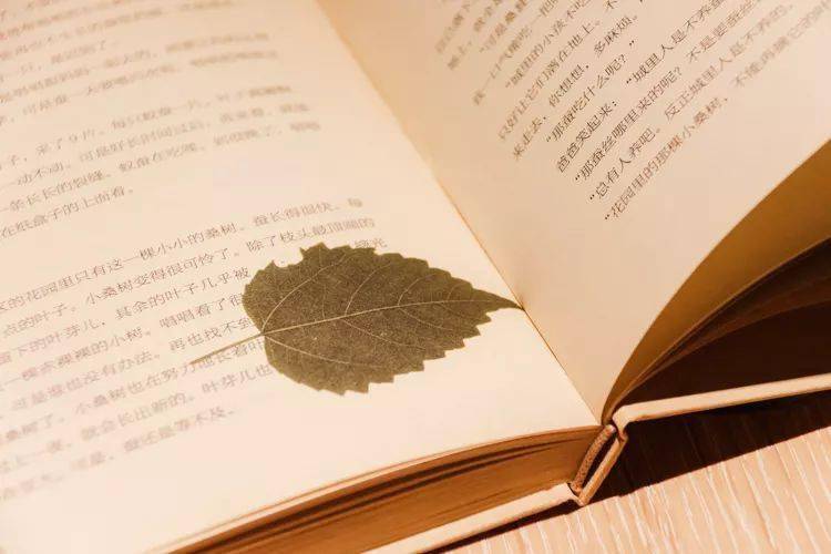 逼出来的坚强扛出来的独立致自己