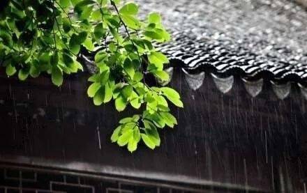 夏天的雨,落在了诗词里,美到极致