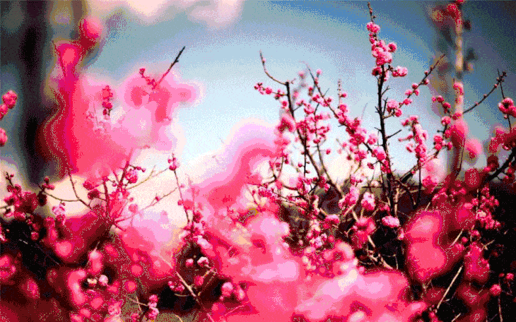 730_456gif 动态图 动图