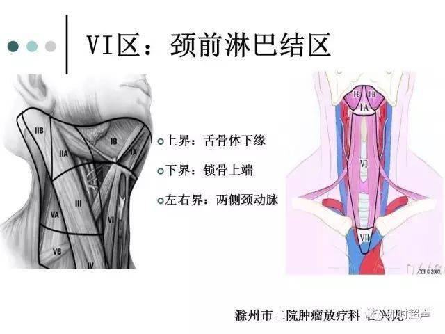 颈部淋巴结分区