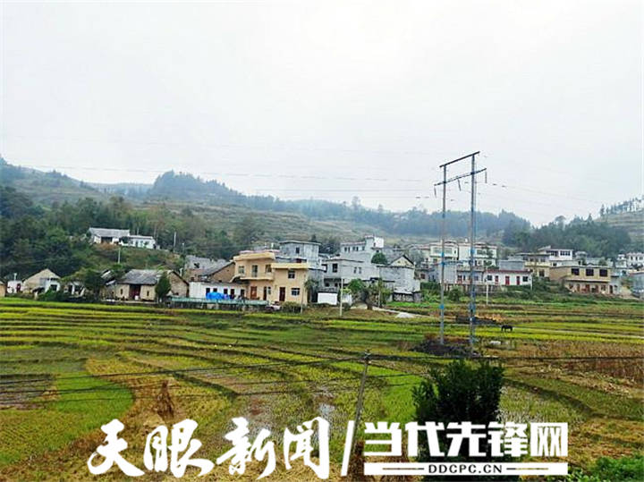 故事还得从头说起,2018年6月,我被调整到安谷乡四合村参加贫困户包保
