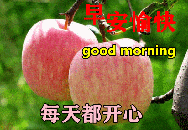 最漂亮早上好动态表情图片大全,早晨好动图美图大全