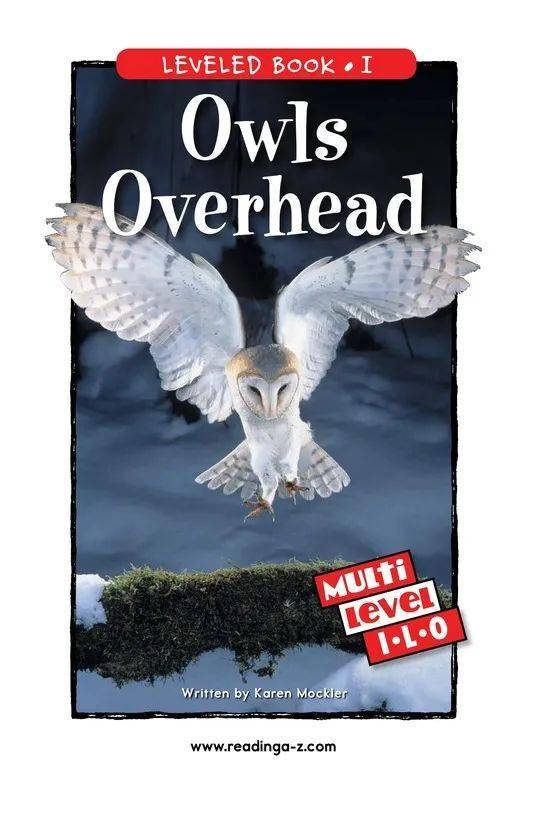 razi75owlsoverhead