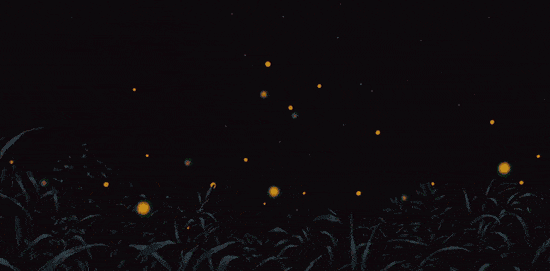 开封(爱思嘉)萤火虫主题公园6月25日盛大开园!