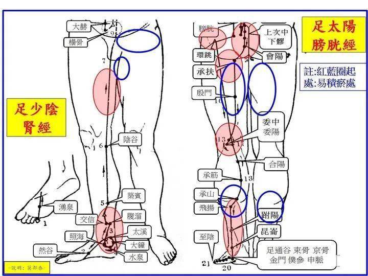 简谈增强肾气及疏通经脉