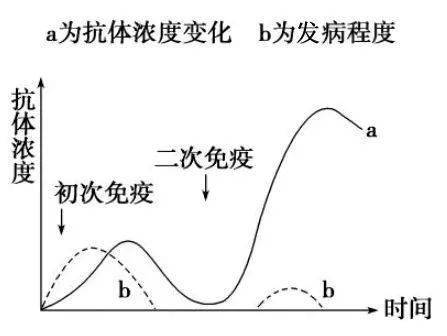 持续时间也很短,必须在间隔≥21天时接种第二针,再次刺激人体免疫系统