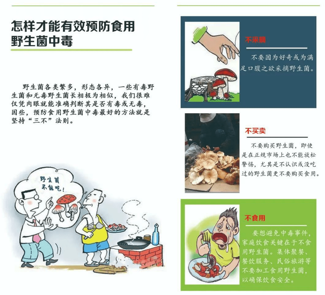 野生菌中毒预防小知识