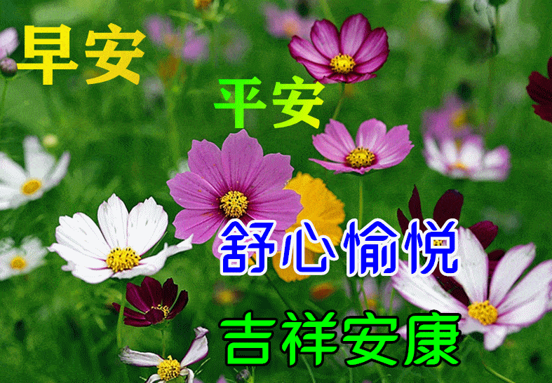 6月25日最漂亮早上好动态表情图片大全早晨好动图美图大全