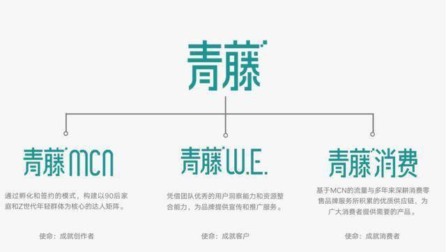 选择与b站做深度绑定的青藤未来瞄向何方